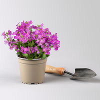 Pflanzenkreation Gartenromantik, 9 Pflanzen inkl. Erde und Dünger Pflanzenkreation Gartenromantik, 9 Pflanzen inkl. Erde und Dünger