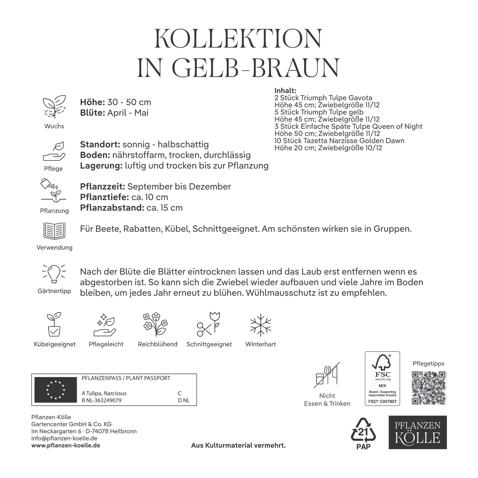 Bienenweide-Mischung Tulpe & Narzisse, gelb-kastanienbraun, 20 Blumenzwiebeln Bienenweide-Mischung Tulpe & Narzisse, gelb-kastanienbraun, 20 Blumenzwiebeln