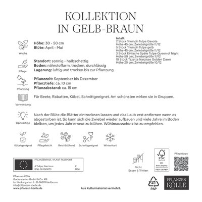 Bienenweide-Mischung Tulpe & Narzisse, gelb-kastanienbraun, 20 Blumenzwiebeln Bienenweide-Mischung Tulpe & Narzisse, gelb-kastanienbraun, 20 Blumenzwiebeln