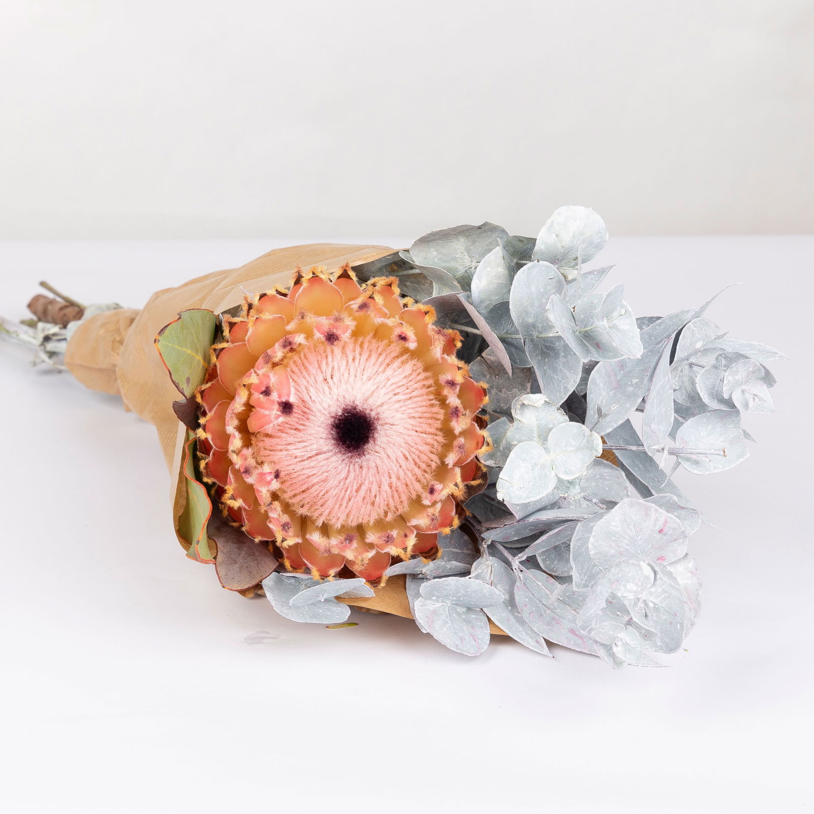 Blumenbund Protea barbigera & Eukalyptus weiß gefärbt, inkl. gratis Grußkarte