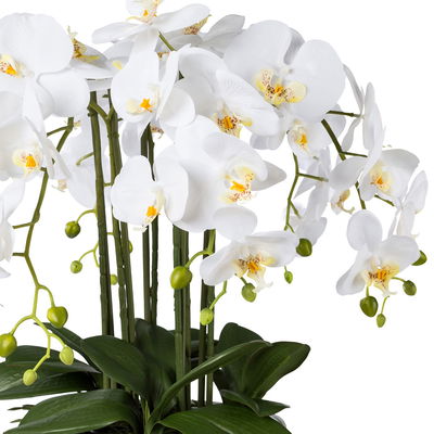 Kunstpflanze Phalaenopsis, weiß, Höhe ca. 54 cm Kunstpflanze Phalaenopsis, weiß, Höhe ca. 54 cm