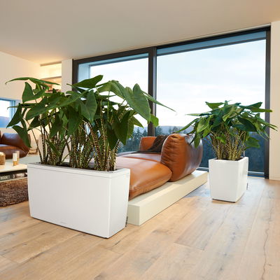 Lechuza 'Cararo', weiß, ca. 75 x 30 x H 42,5 cm