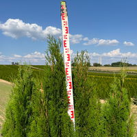 Thuja occidentalis 'Smaragd', Höhe 150 - 175 cm, mit Ballen, 10 Stück