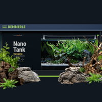 Aquaristik-Einsteiger-Workshop mit Fa. Dennerle Aquaristik-Einsteiger-Workshop mit Fa. Dennerle