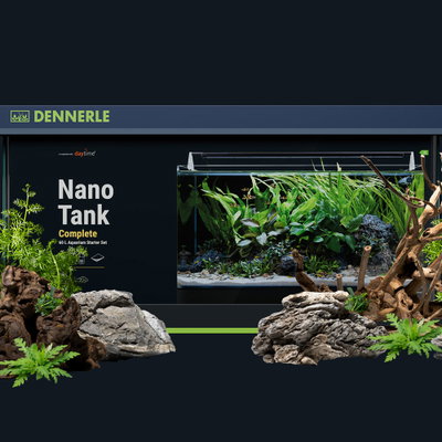 Aquaristik-Einsteiger-Workshop mit Fa. Dennerle Aquaristik-Einsteiger-Workshop mit Fa. Dennerle