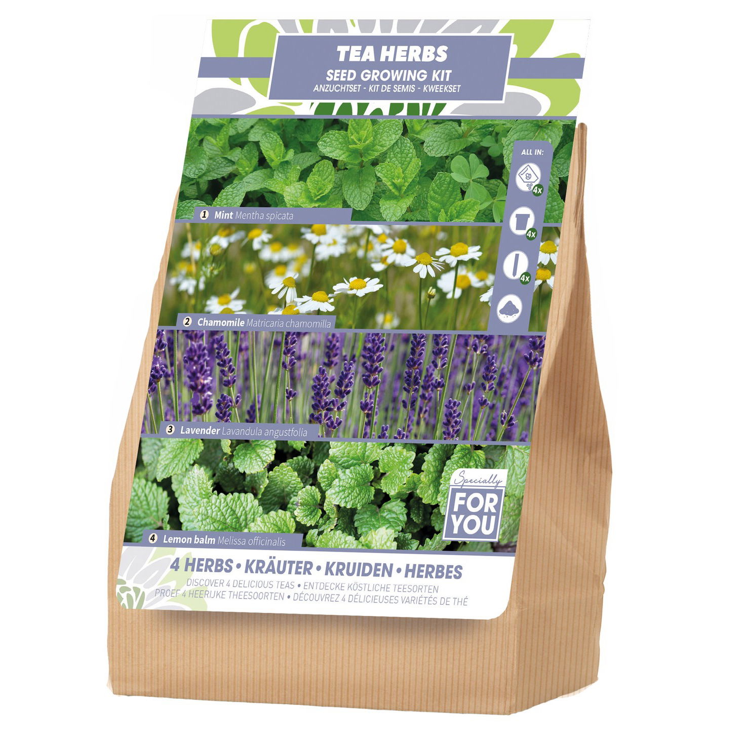 Saatgut Anzuchtset 'Teekräuter'