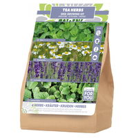 Saatgut Anzuchtset 'Teekräuter'