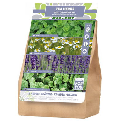 Saatgut Anzuchtset 'Teekräuter'