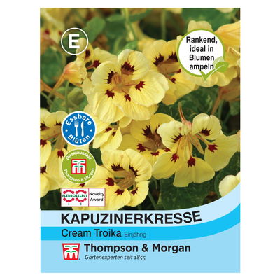 Kapuzinerkresse (Tropaeolum) Cream Troika / rankende Pflanze, einjährig, robust