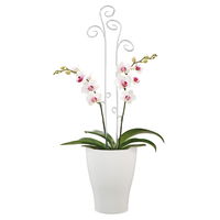 Scheurich Orchideenstab, Höhe ca. 60 cm