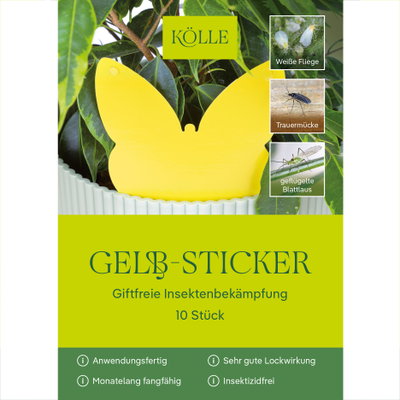 Kölle Gelb-Sticker, 10 Stück Kölle Gelb-Sticker, 10 Stück