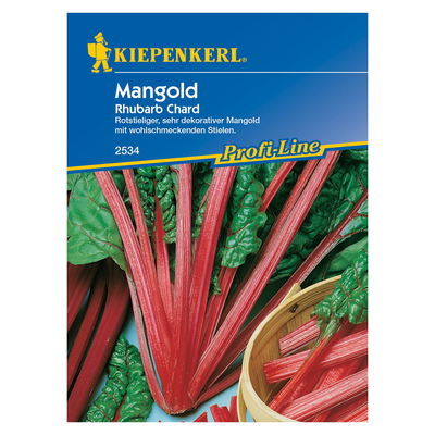 Saatgut Mangold 'Rhubarb Chard'