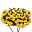 Begonie RiseUp™ 'Aloha Gold' gelb, halbhängend, Topf-Ø 13 cm, 6er-Set