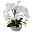 Phalaenopsis 'Real Touch', weiß, Kunststoff