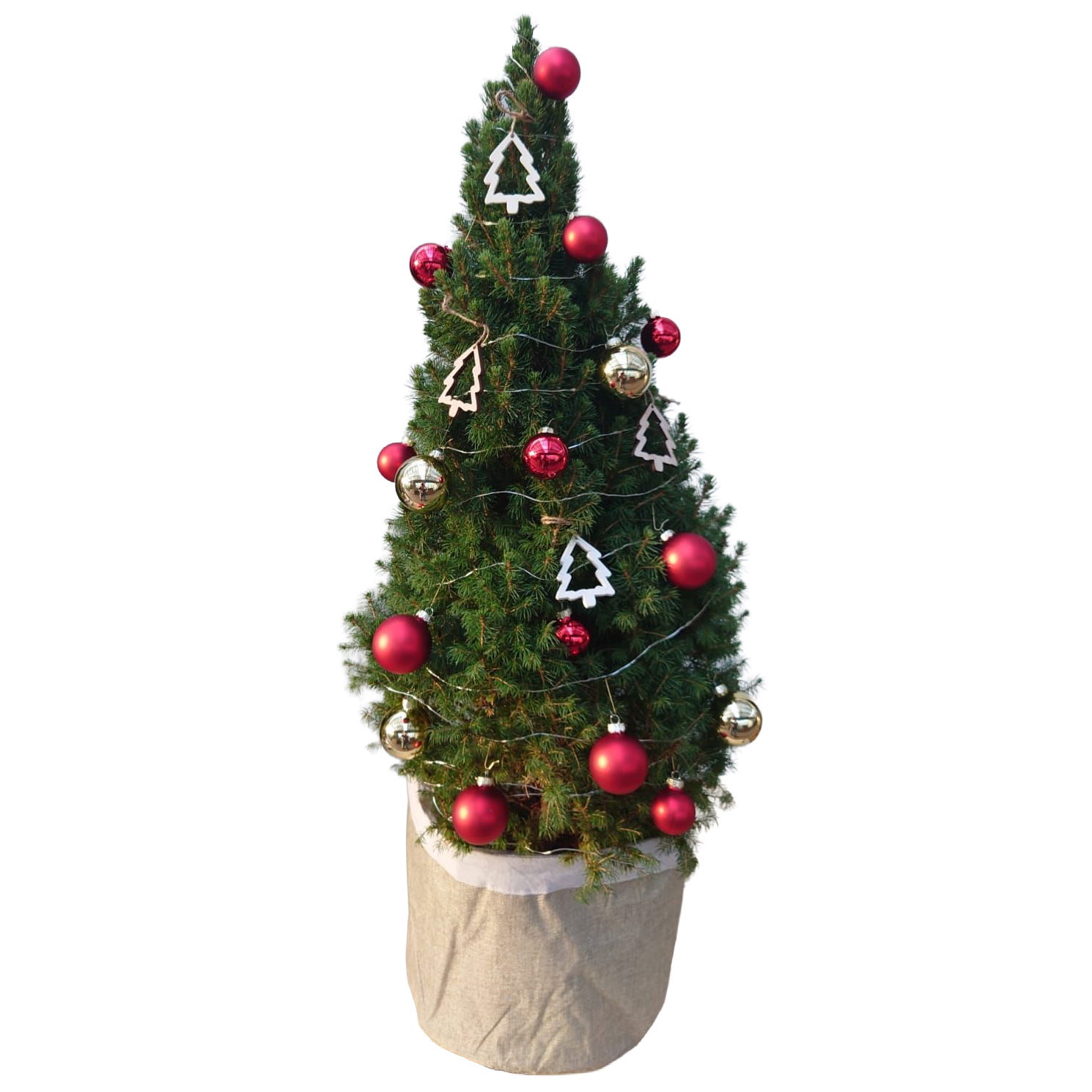 Weihnachtsbäumchen inkl. Deko, rot-gold, Höhe ca. 80 cm, Topf-Ø 25 cm