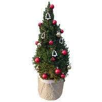 Weihnachtsbäumchen inkl. Deko, rot-gold, Höhe ca. 80 cm, Topf-Ø 25 cm