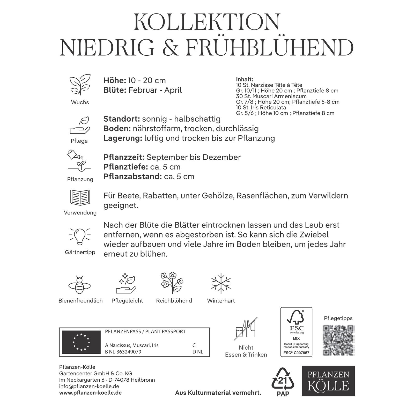 Kollektion kleinbleibende, frühblühende Blumenzwiebeln, 50 Blumenzwiebeln