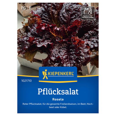 Kiepenkerl Saatgut Pflücksalat 'Rosela' Kiepenkerl Saatgut Pflücksalat 'Rosela'