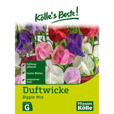Blumensamen, Duftwicke 'Ripple Mix' Blumensamen, Duftwicke 'Ripple Mix'