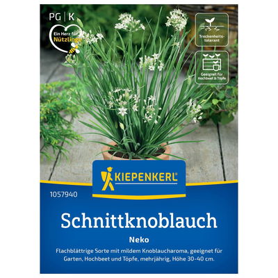 Saatgut Schnittknoblauch 'Neko'