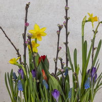 Workshop Erlebnis-Shopping 