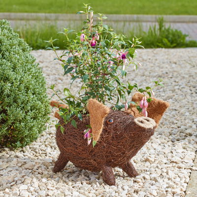 Smartgarden Rattankübel 'Schwein', Höhe ca. 28 cm Smartgarden Rattankübel 'Schwein', Höhe ca. 28 cm