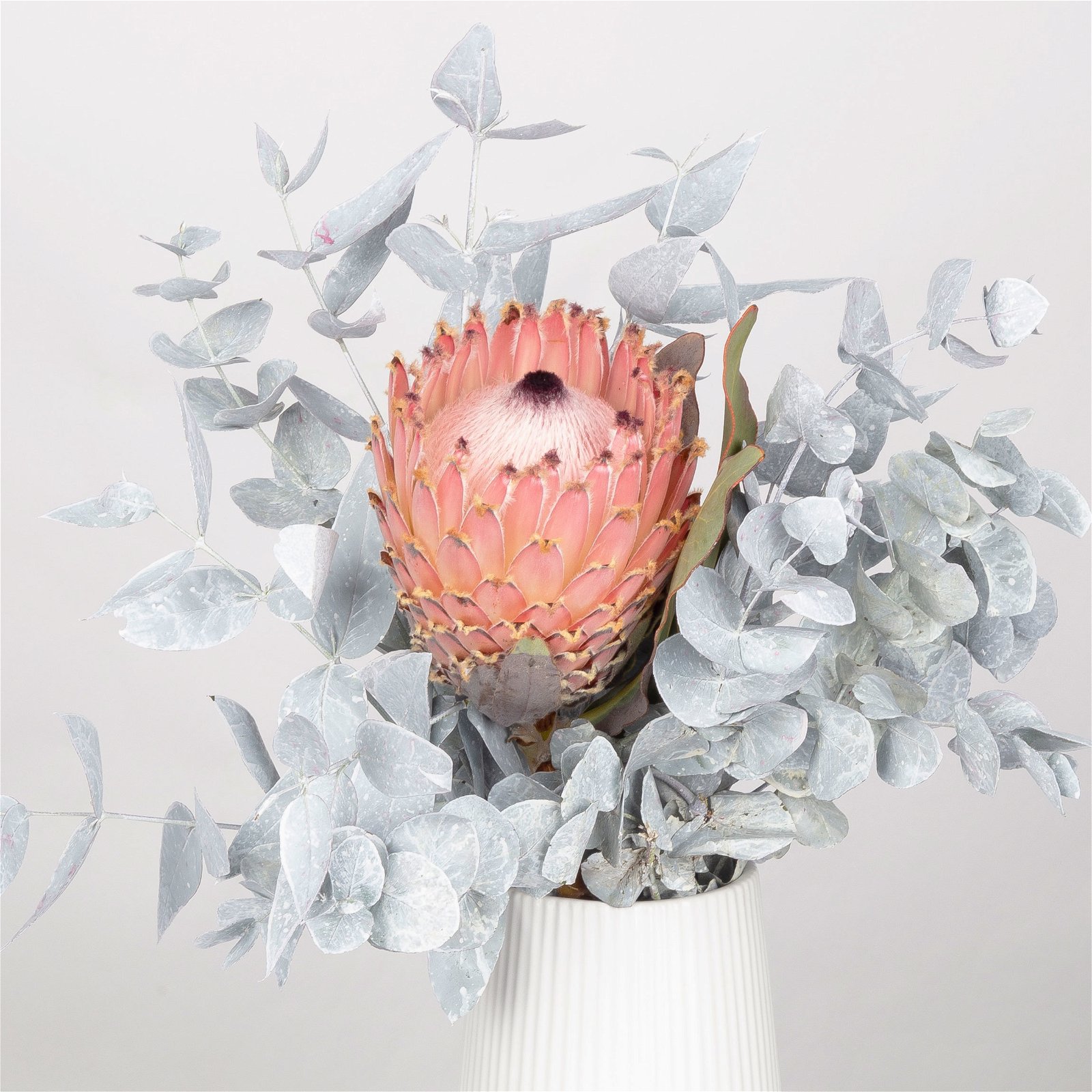 Blumenbund Protea barbigera & Eukalyptus weiß gefärbt, inkl. gratis Grußkarte