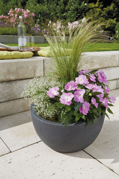 Scheurich Pflanzschale 'Wave Globe Bowl' schwarz, ca. Ø 40 x H 21 cm