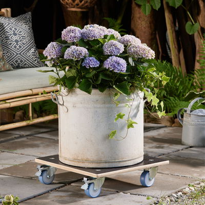 Wagner Multi-Roller 'Maxigrip', braun, ca. 48 x 48 cm Wagner Multi-Roller 'Maxigrip', braun, ca. 48 x 48 cm