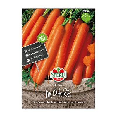Gemüsesamen, Möhre 'Rotin' Gemüsesamen, Möhre 'Rotin'