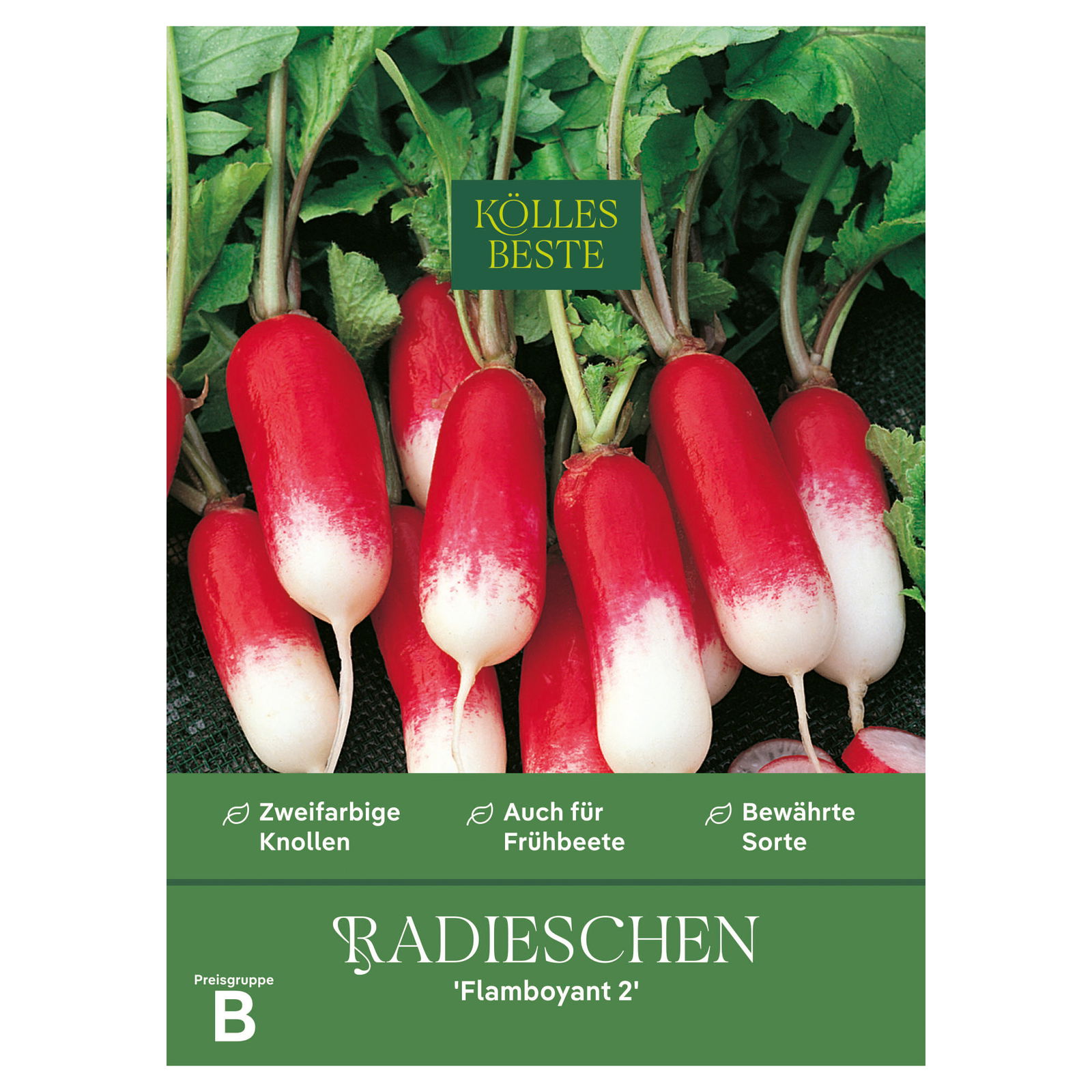 Kölles Beste Gemüsesamen, Radieschen 'Flamboyant 2'