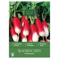 Kölles Beste Gemüsesamen, Radieschen 'Flamboyant 2'