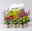 Pflanzenkreation Bunter Herbst, 12 Pflanzen inkl. 2x 10 l Erde