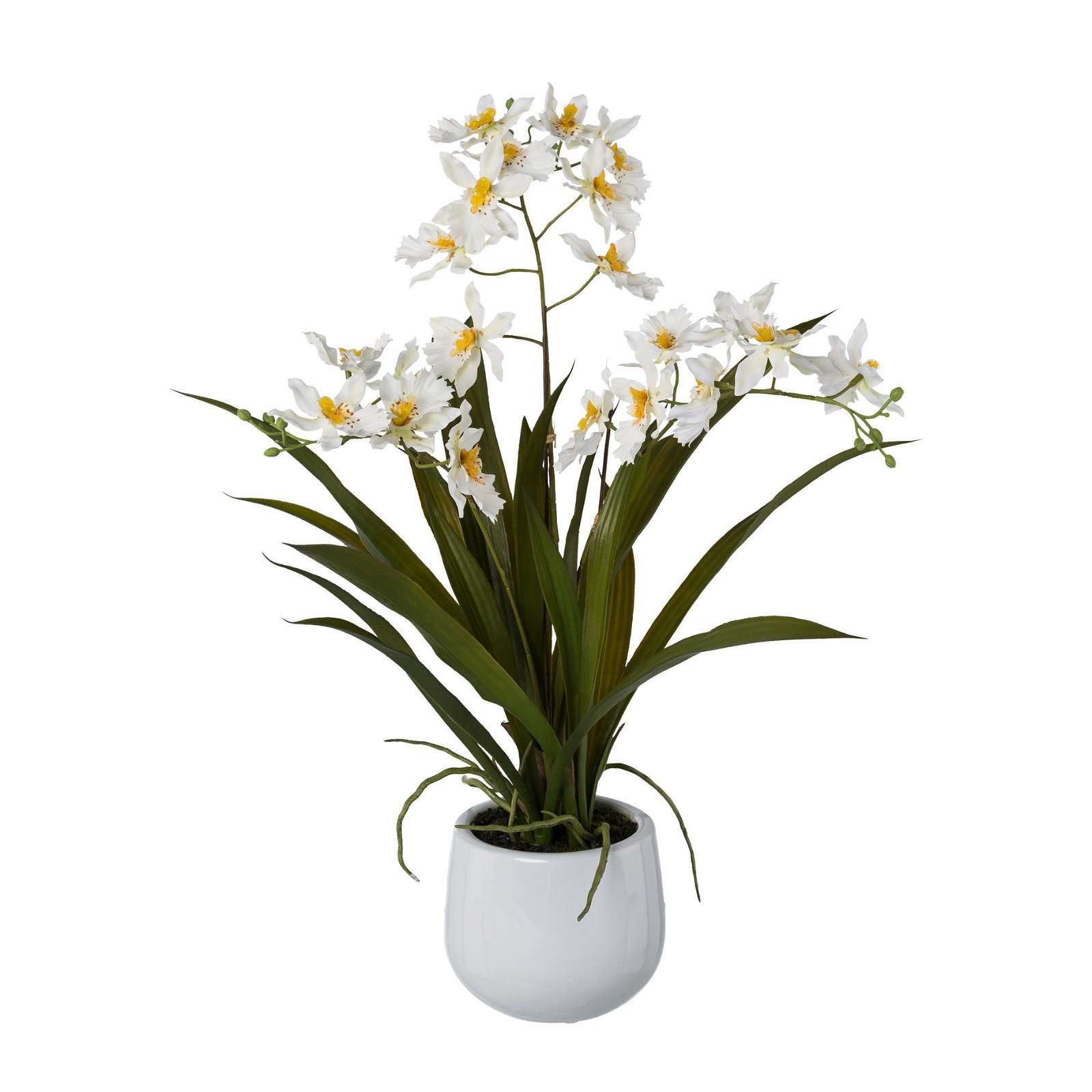 Kunstpflanze Gambia-Orchidee, weiß, Topf-Ø 12 cm, Höhe ca. 50 cm
