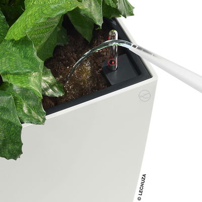 Lechuza 'Cubico 30', schwarz, ca. 29,5 x 29,5 x H 56,5 cm Lechuza 'Cubico 30', schwarz, ca. 29,5 x 29,5 x H 56,5 cm