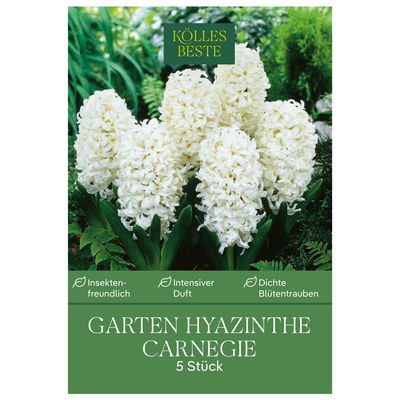 Garten-Hyazinthen 'Carnegie', weiß, 5 Blumenzwiebeln Garten-Hyazinthen 'Carnegie', weiß, 5 Blumenzwiebeln