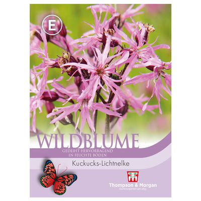Thompson & Morgan Wildblume Kuckucks-Lichtnelke, rosarot Thompson & Morgan Wildblume Kuckucks-Lichtnelke, rosarot