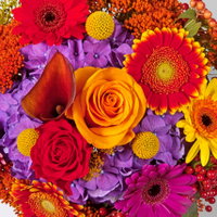 Blumenstrauß 'Waldspaziergang', handgebunden Blumenstrauß 'Waldspaziergang', handgebunden