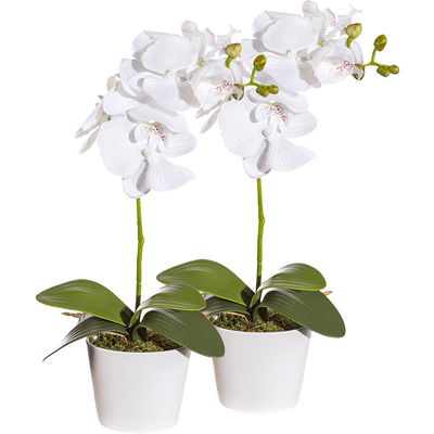 Kunstblume Orchidee im Topf, weiß, Höhe ca. 40 cm, 2 Stück Kunstblume Orchidee im Topf, weiß, Höhe ca. 40 cm, 2 Stück