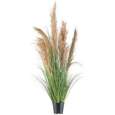 Kunstpflanze Natur-Schilfgras, Höhe ca. 110 cm Kunstpflanze Natur-Schilfgras, Höhe ca. 110 cm