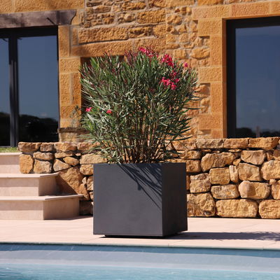 Eda Pflanztrog 'Basalt Dado', anthrazit, ca. 50 x 50 x H 50 cm