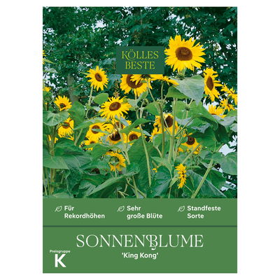 Blumensamen, Sonnenblume 'King Kong'