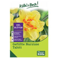 XXL Gefüllte Narzissen Tahiti gelb/orange, 5 Blumenzwiebeln