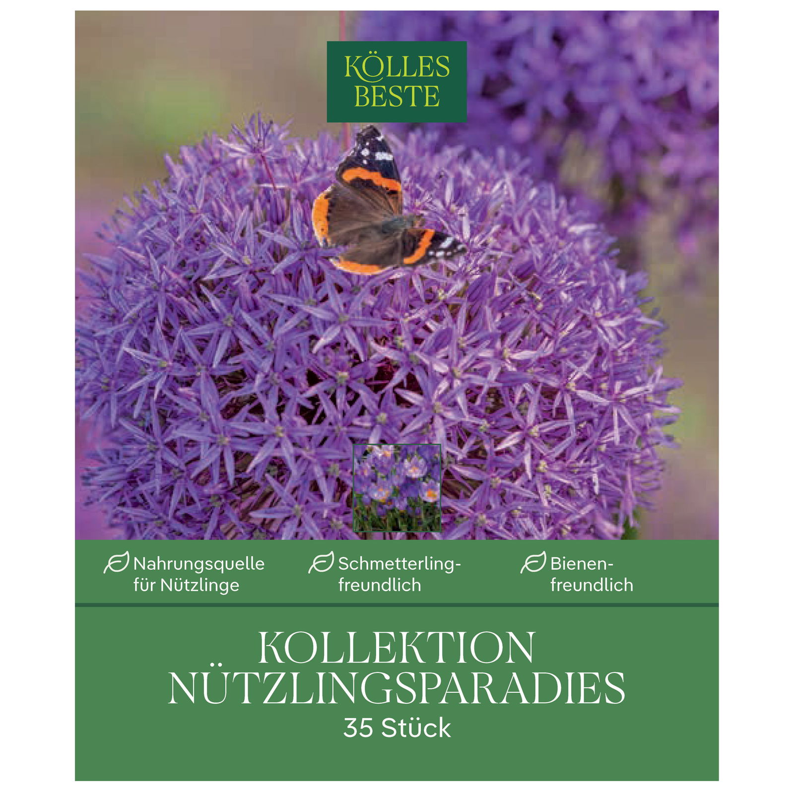Krokus-Kollektion 'Nützlingsparadies', blau, pink, 35 Blumenzwiebeln