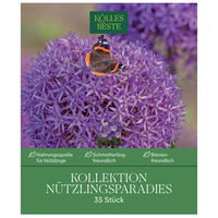 Krokus-Kollektion 'Nützlingsparadies', blau, pink, 35 Blumenzwiebeln