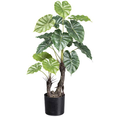 Kunstpflanze Taropflanze, Höhe ca. 70 cm Kunstpflanze Taropflanze, Höhe ca. 70 cm