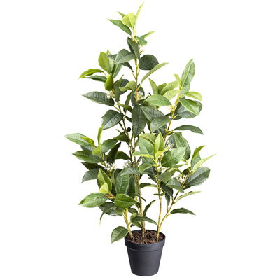 Kunstpflanze Osmanthus, Höhe ca. 65 cm Kunstpflanze Osmanthus, Höhe ca. 65 cm
