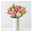 Gemischter Blumenbund 'Frühlingszeit', rosa-weiß, inkl. gratis Grußkarte