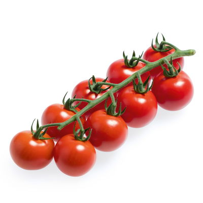 Cocktailtomate'Manolo® Red' (Picolino) F1, veredelt, Topf-Ø 12 cm, 3er-Set