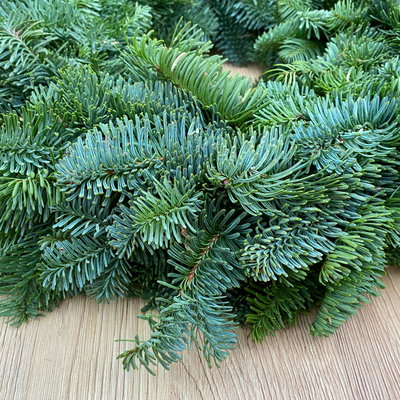 Adventskranz, Nobilistanne, halbrund gebunden, ca. 40 cm Ø Adventskranz, Nobilistanne, halbrund gebunden, ca. 40 cm Ø